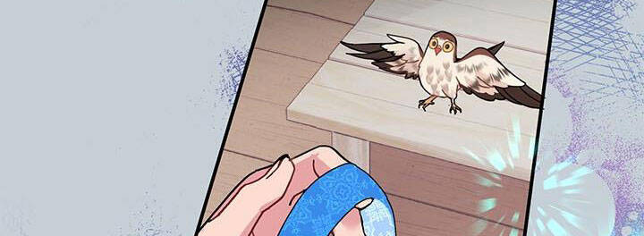 Công Chúa Của Loài Chim: Chapter 49