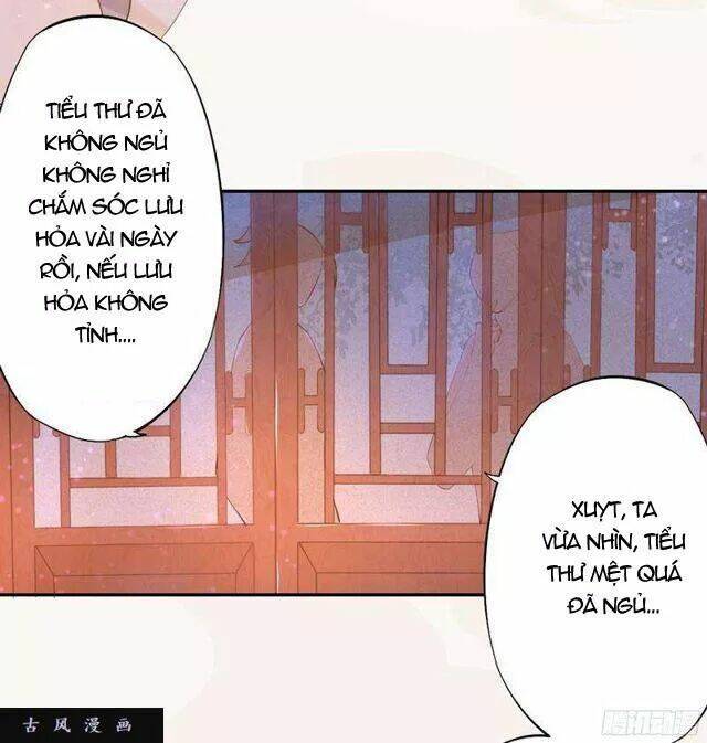 Tuyệt Thế Luyện Đan Sư: Chapter 26