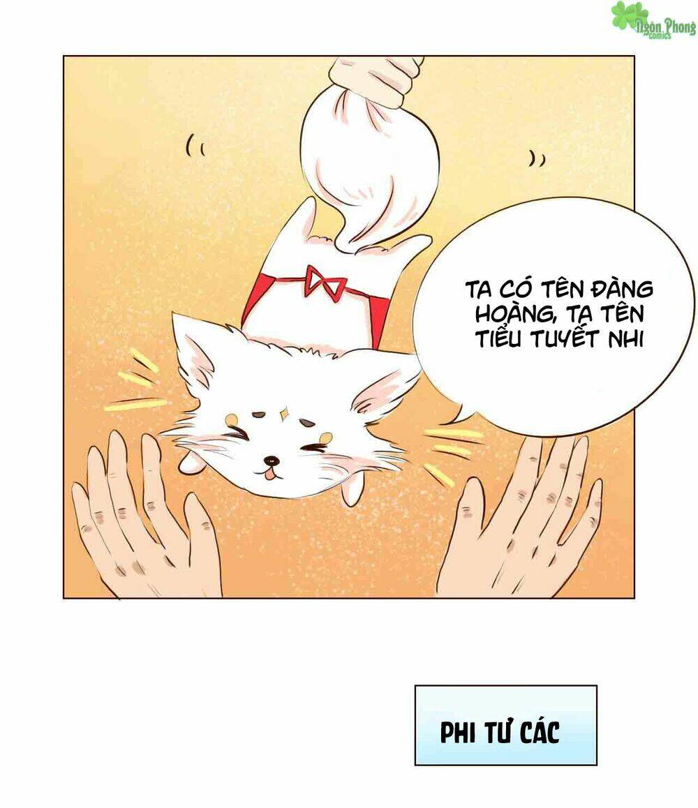 Mẫu Phi Đuôi Của Người Lộ Ra Rồi Kìa: Chapter 5