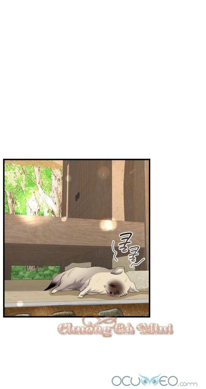 Cô Dâu Của Sói Đen: Chapter 19