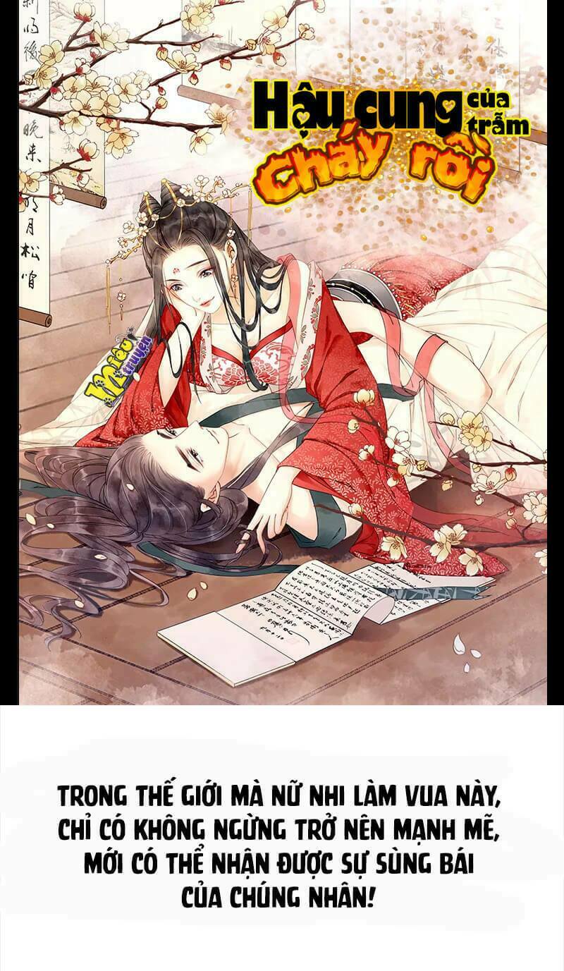 Hậu Cung Của Trẫm Cháy Rồi!: Chapter 0