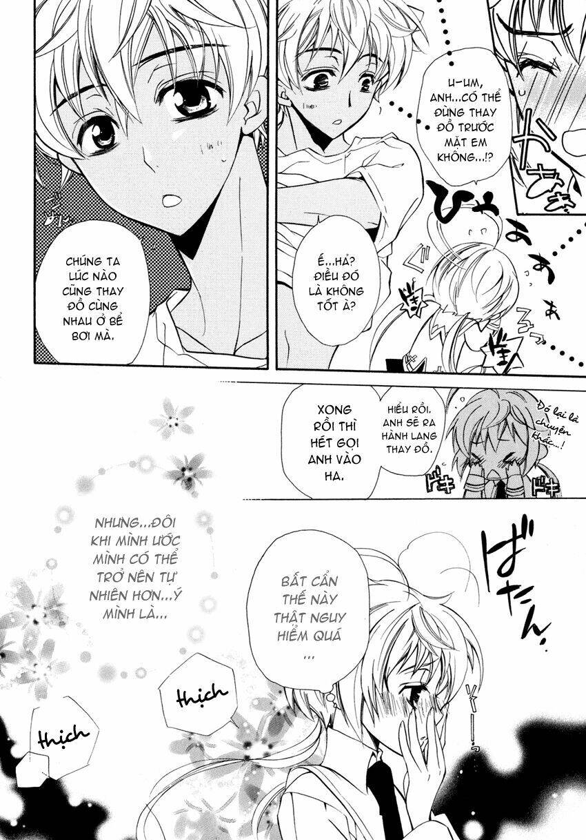 S.L.H (Stray Love Hearts): Chapter 4