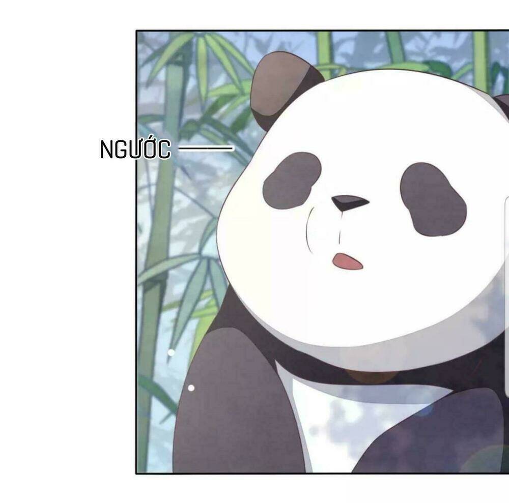 Xuyên Về Cổ Đại Làm Quốc Bảo: Chapter 6