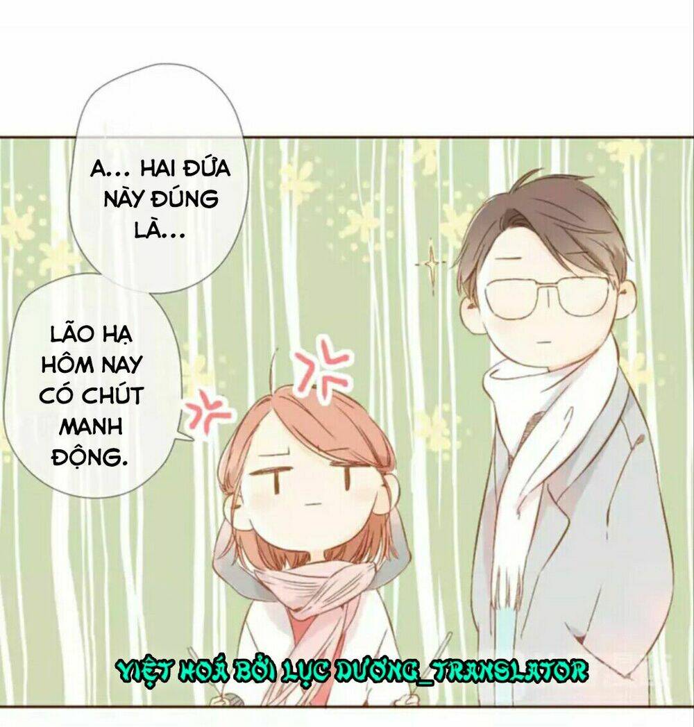 Tình Yêu Là Màu Hoa Anh Thảo: Chapter 29.2