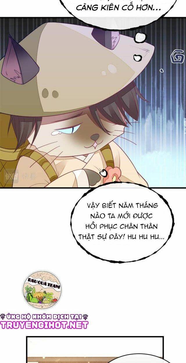 Mau Xuyên Không Rửa Tội Cho Nhân Vật Phản Diện: Chapter 5