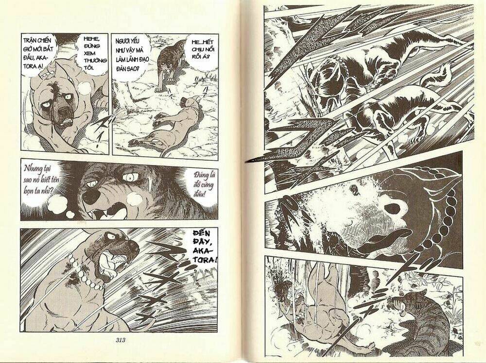 Chú Chó Có Nghĩa - Ginga Nagareboshi Gin: Chapter 12