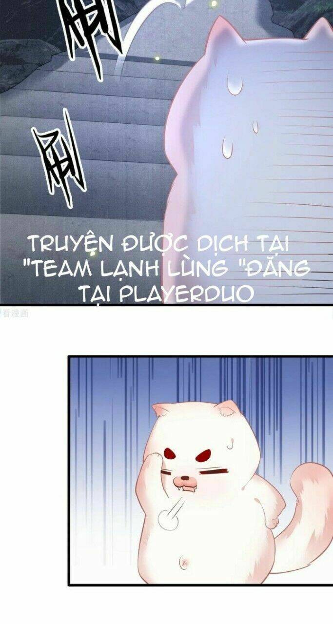 Con Đường Hoang Dã Của Vương Phi: Chapter 33