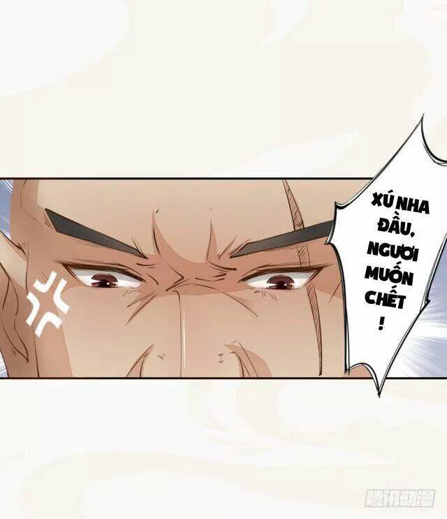 Tuyệt Thế Luyện Đan Sư: Chapter 28