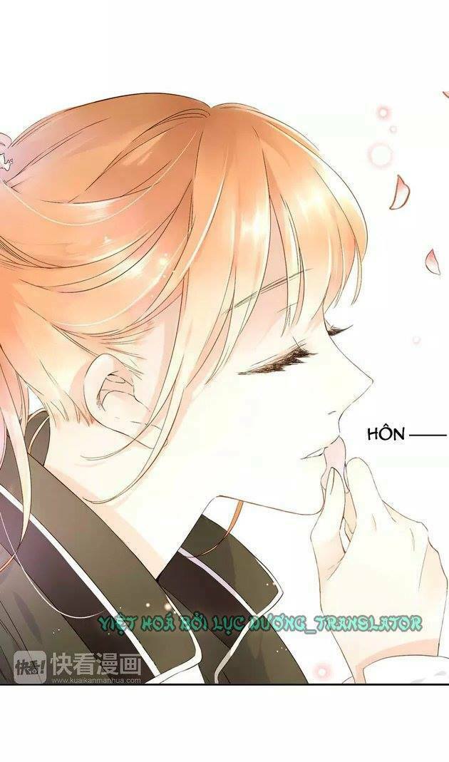 Tình yêu là màu hoa anh thảo: Chapter 20.5