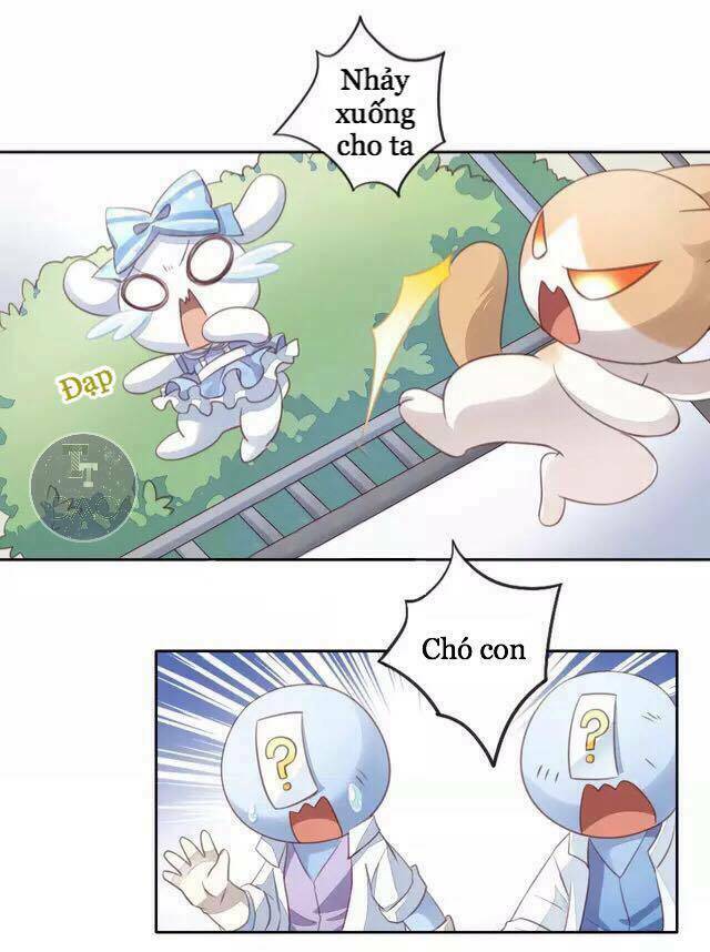 Dưới Móng Vuốt Mèo: Chapter 15