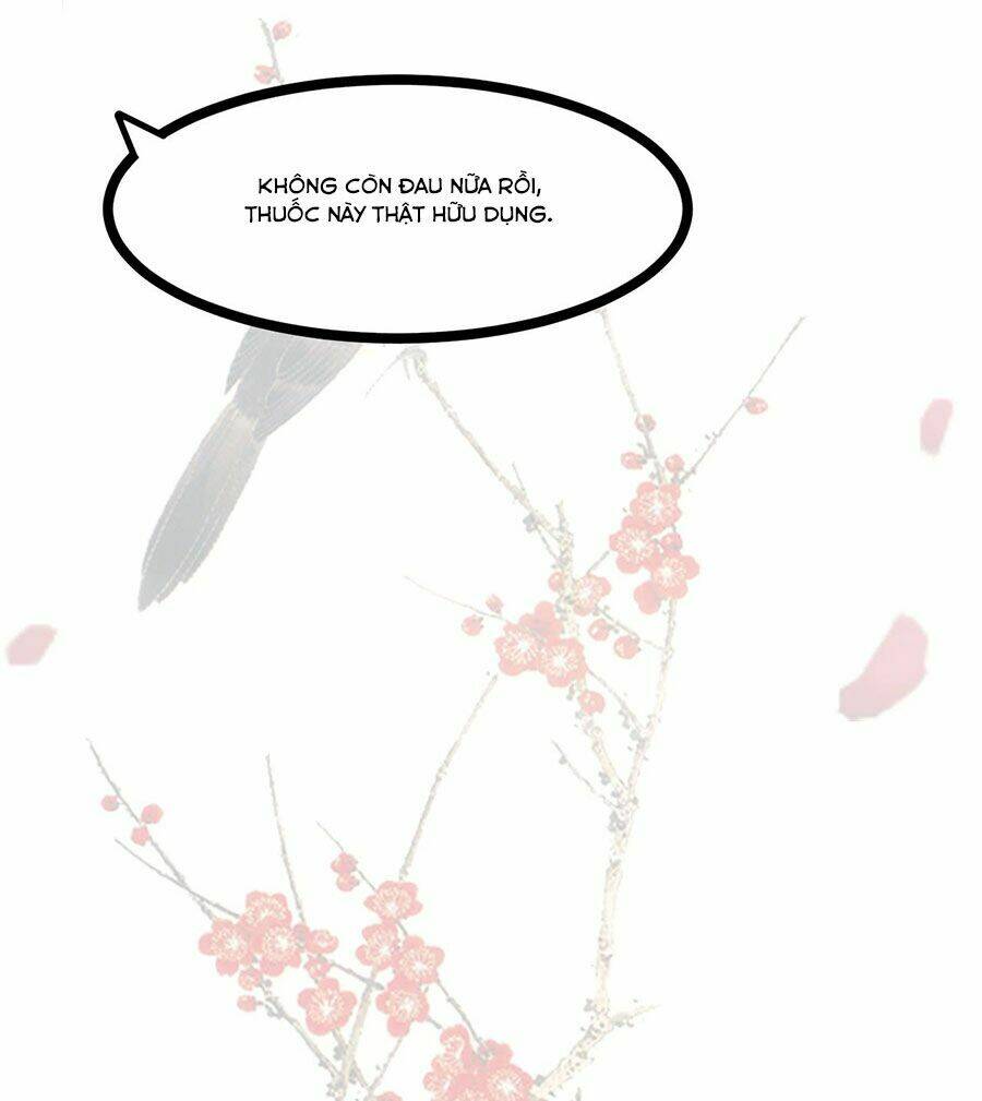 Ngọc Vi Mai: Chapter 19