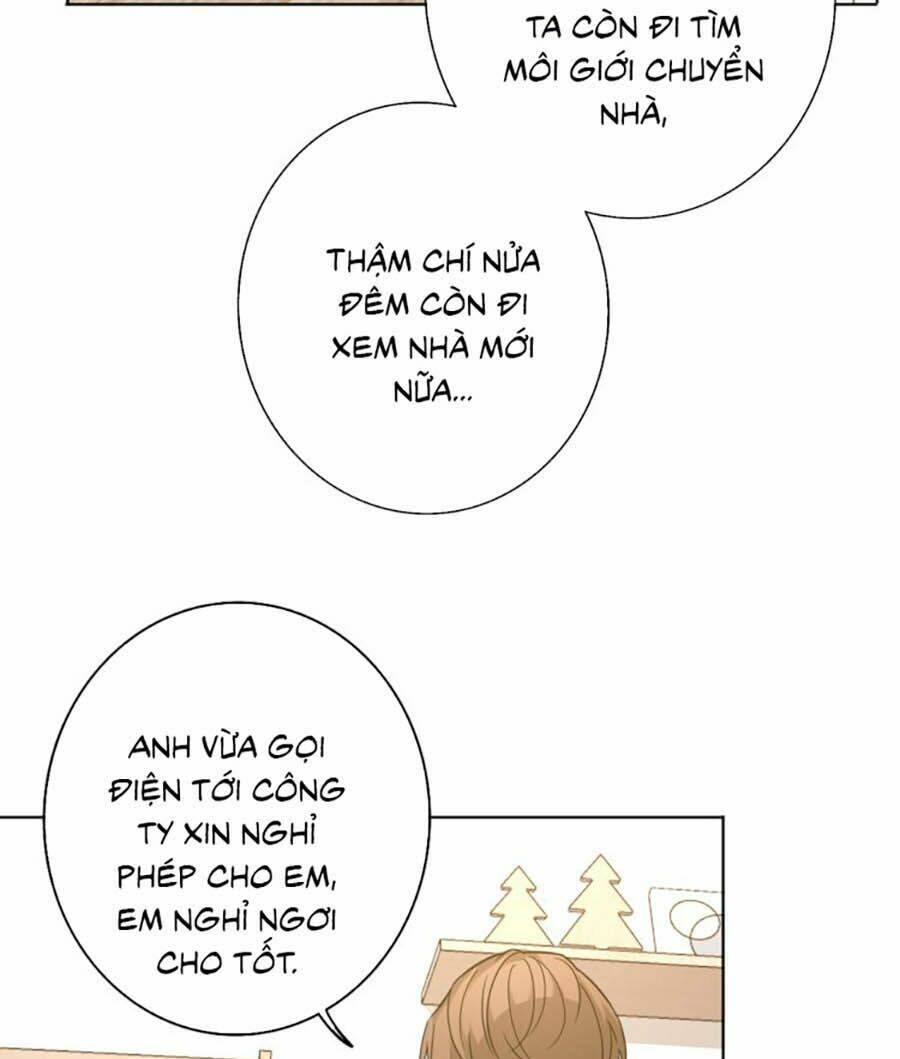 Cát Xê Người Tình Bóng Đêm: Chapter 15