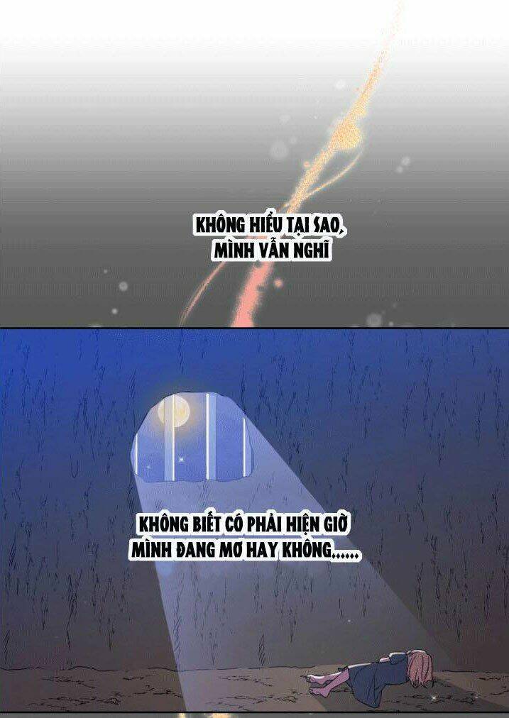 Nàng Elizabeth Thuần Khiết: Chapter 8