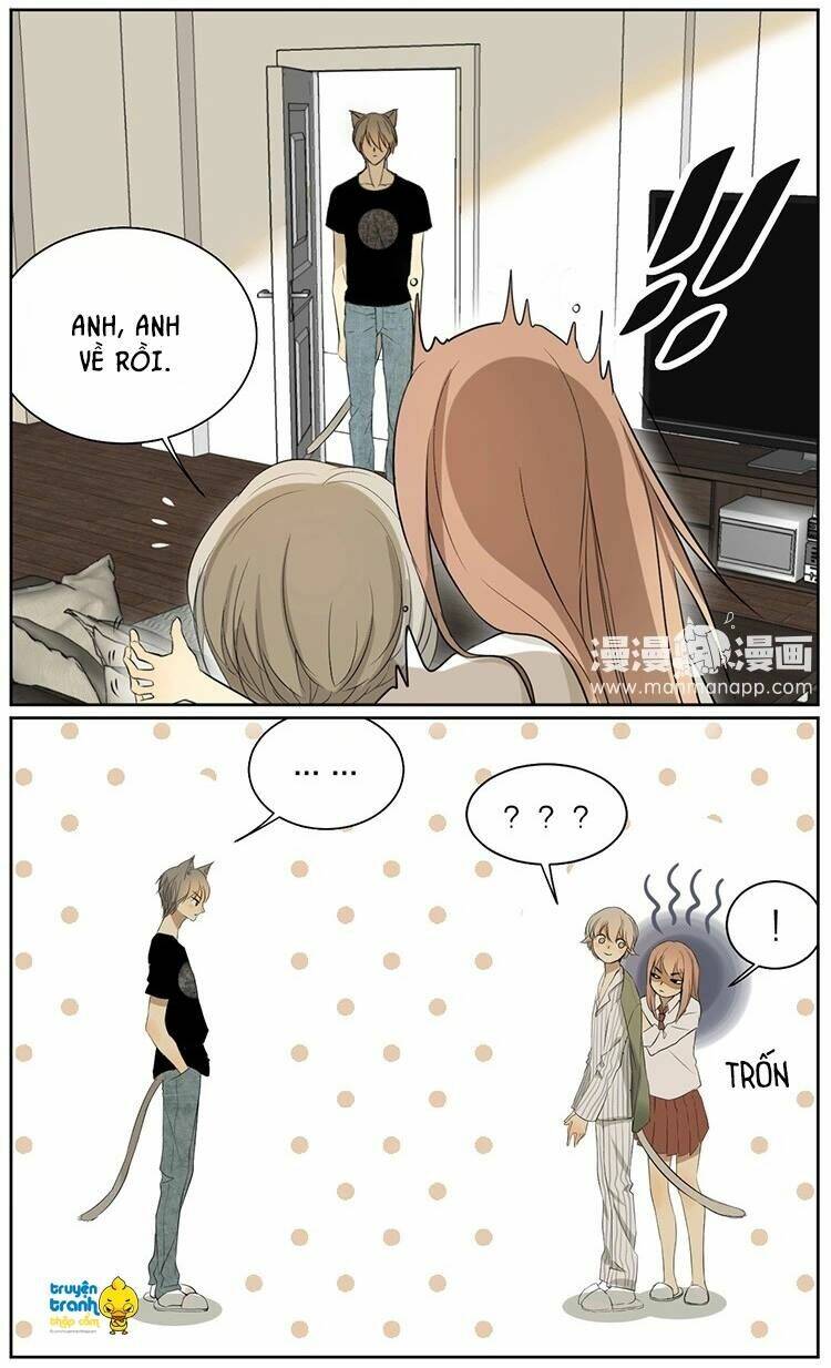 Cứu Mạng! Loài Mèo Thống Trị Thế Giới Rồi!: Chapter 9