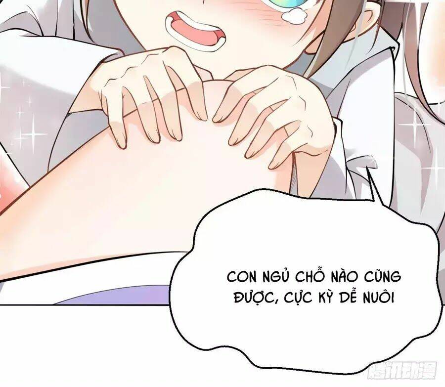 Nữ Tiên Tôn Bận Đào Hôn: Chapter 2.2