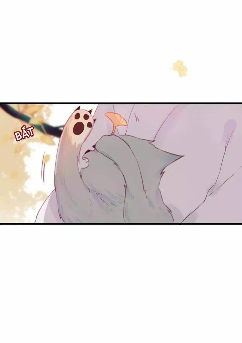 Hồ Minh Chi Hương: Chapter 9