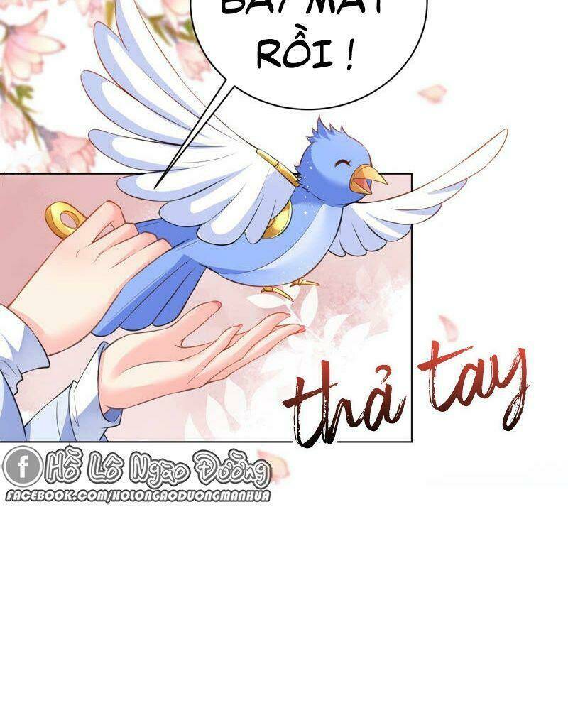 Quận Chúa Vững Vàng, Thiết Lập Nhân Vật Không Thể Vỡ: Chapter 43