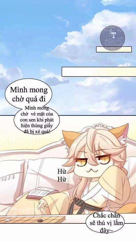 Dưới Móng Vuốt Mèo: Chapter 13
