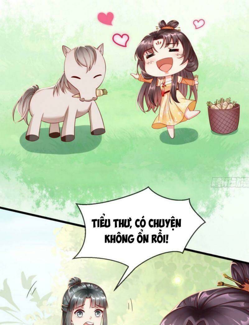 Vương Phi Là Đoá Bạch Liên Hoa: Chapter 23