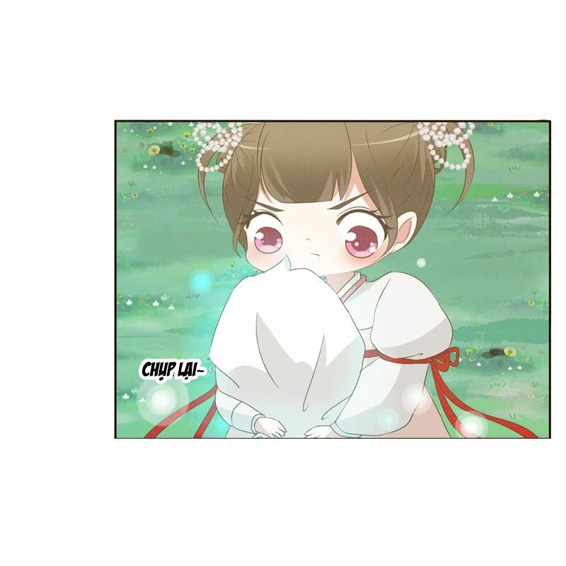 Thông Linh Phi: Chapter 169