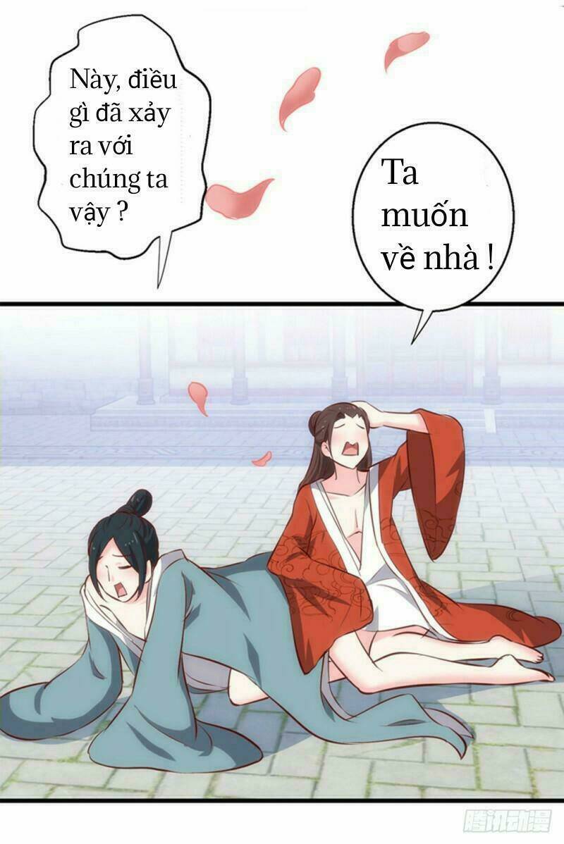 Bẩm Báo Công Chúa !: Chapter 4