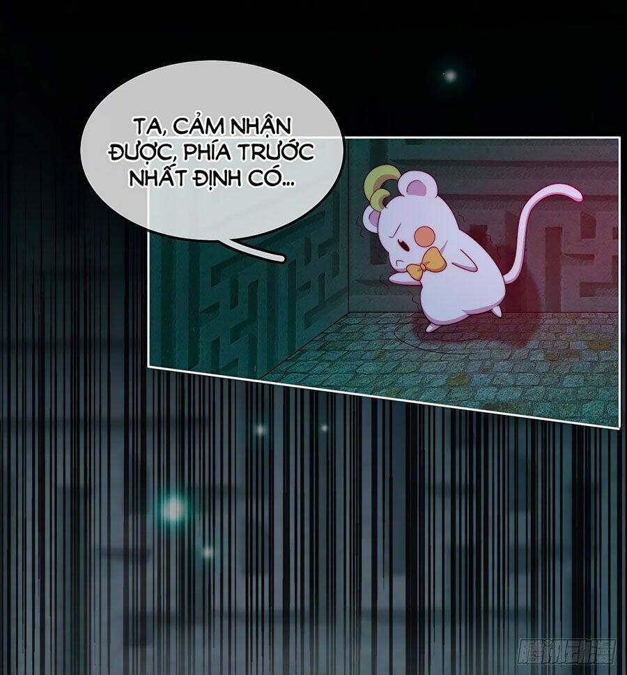 Vân Tưởng Chi Ca: Truy Ái Chỉ Lệnh: Chapter 11