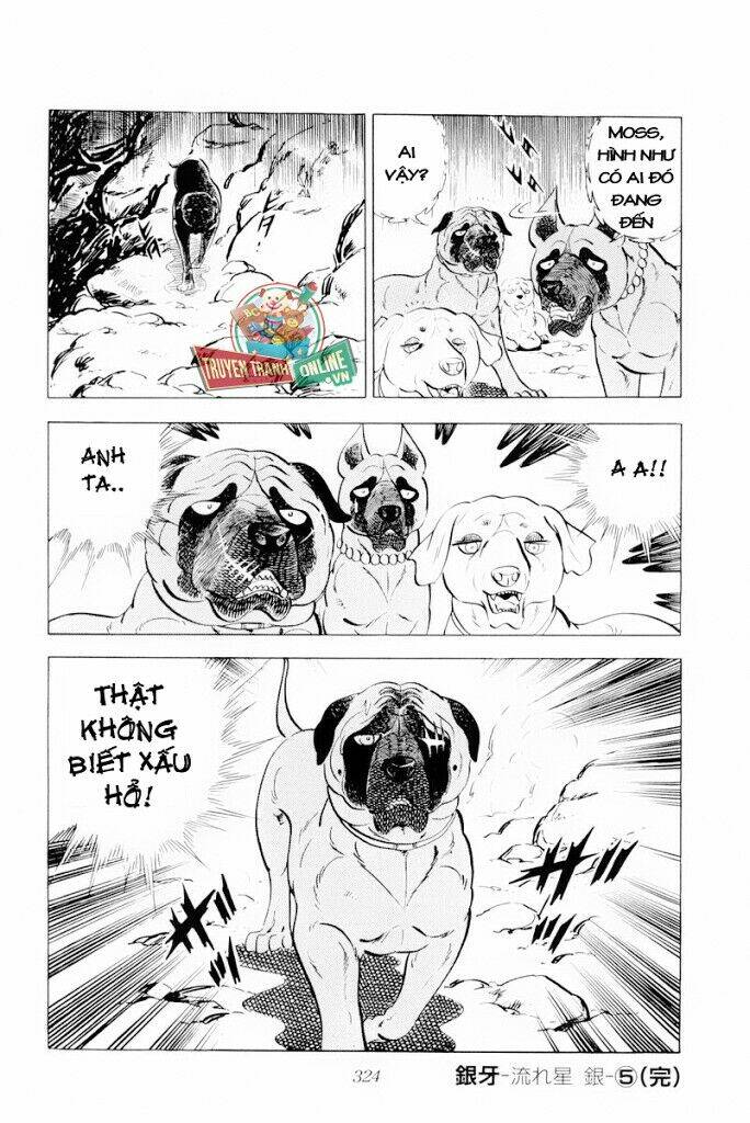 Chú Chó Có Nghĩa - Ginga Nagareboshi Gin: Chapter 30.2