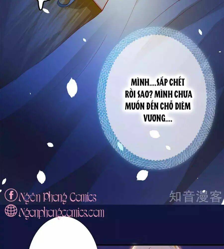 Sủng Hậu Của Vương: Chapter 12
