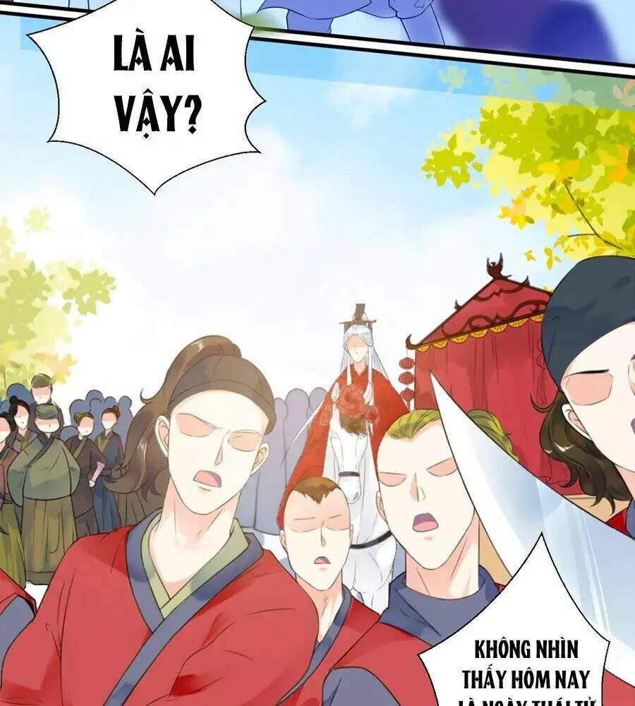 Tang Lạc Túy Tại Nam Phong Lý: Chapter 1