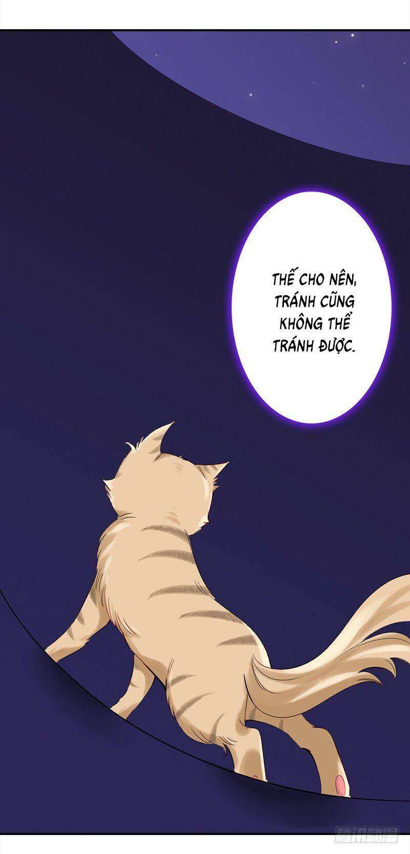 Yêu Tinh Đại Tác Chiến: Chapter 28