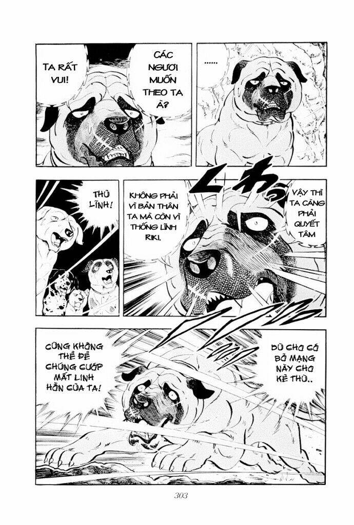 Chú Chó Có Nghĩa - Ginga Nagareboshi Gin: Chapter 30.2