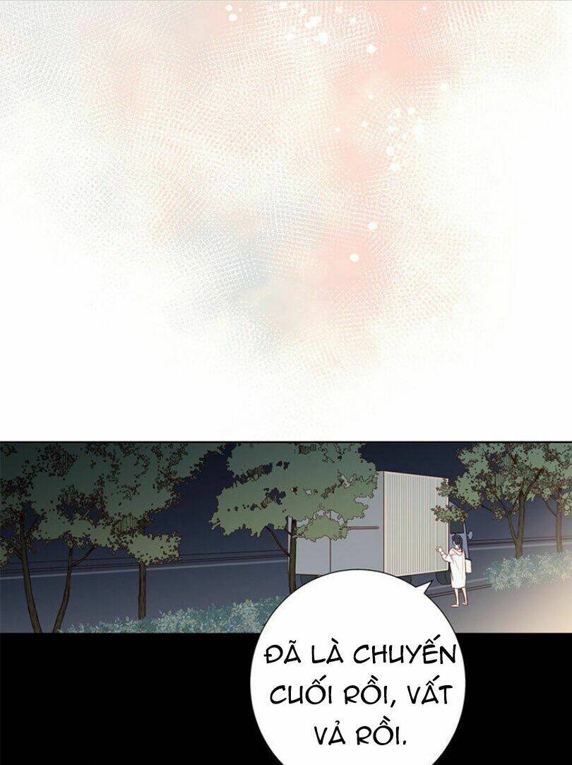 Lời Thề Như Sương Triều: Chapter 8