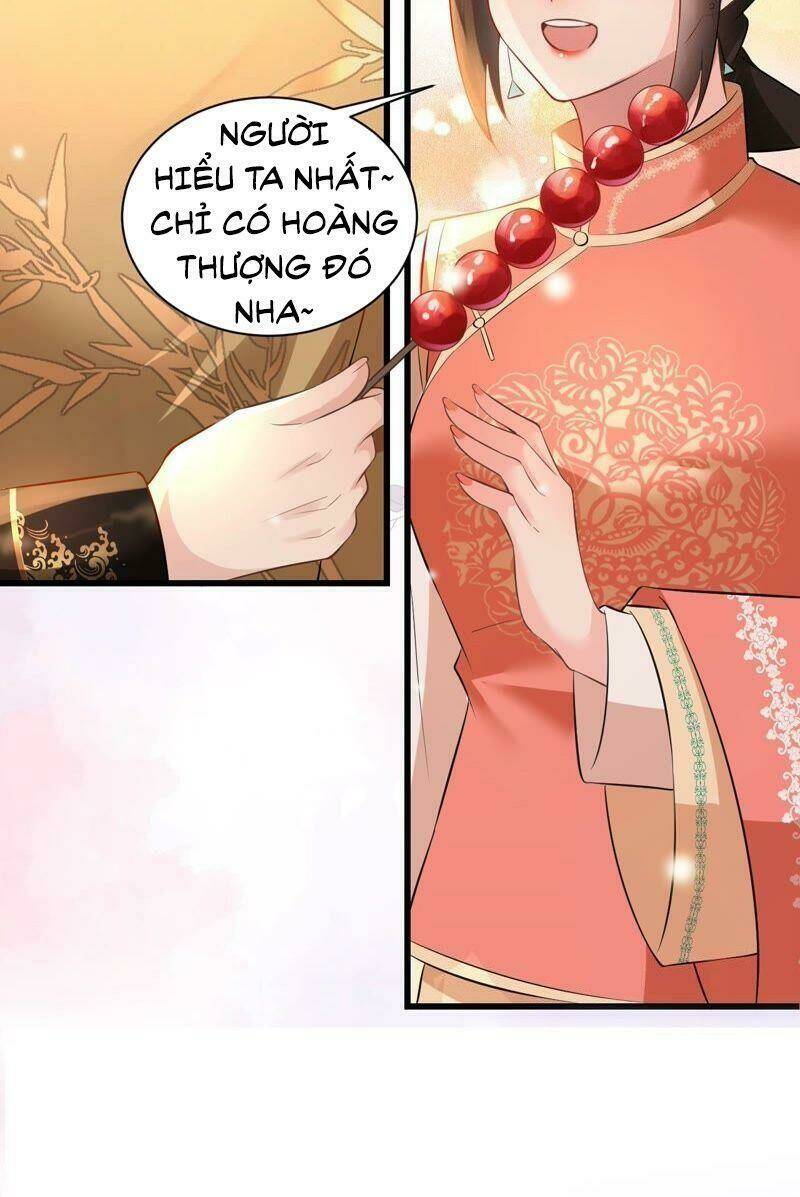 Quận Chúa Vững Vàng, Thiết Lập Nhân Vật Không Thể Vỡ: Chapter 61