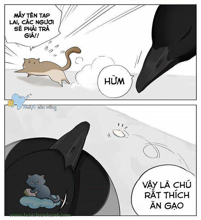 Chim Sẻ Gọi Ngỗng Trời: Chapter 1