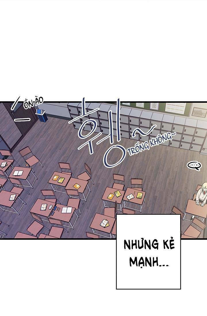 Cô Dâu Của Miêu Hoàng Tử: Chapter 1