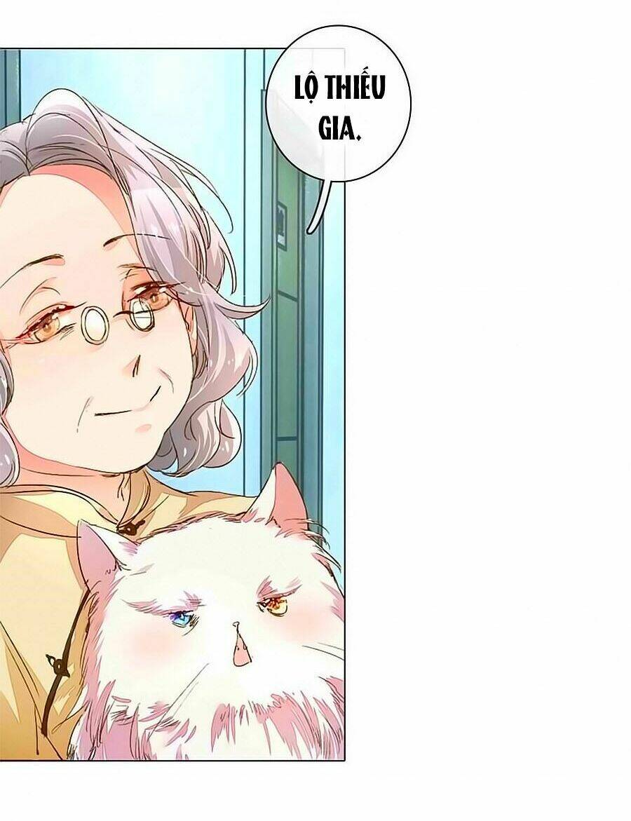 Hào Môn Tiểu Lãn Thê: Chapter 77