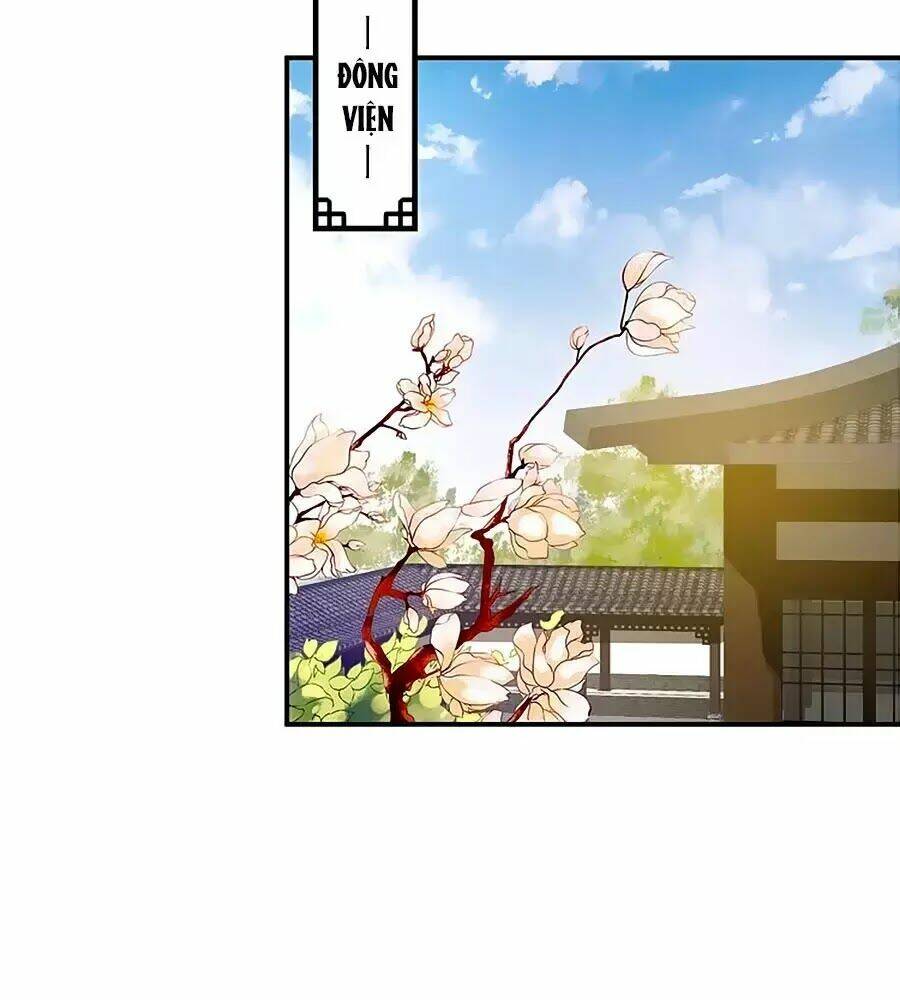 Thịnh Thế Lê Hoa Điện: Chapter 77