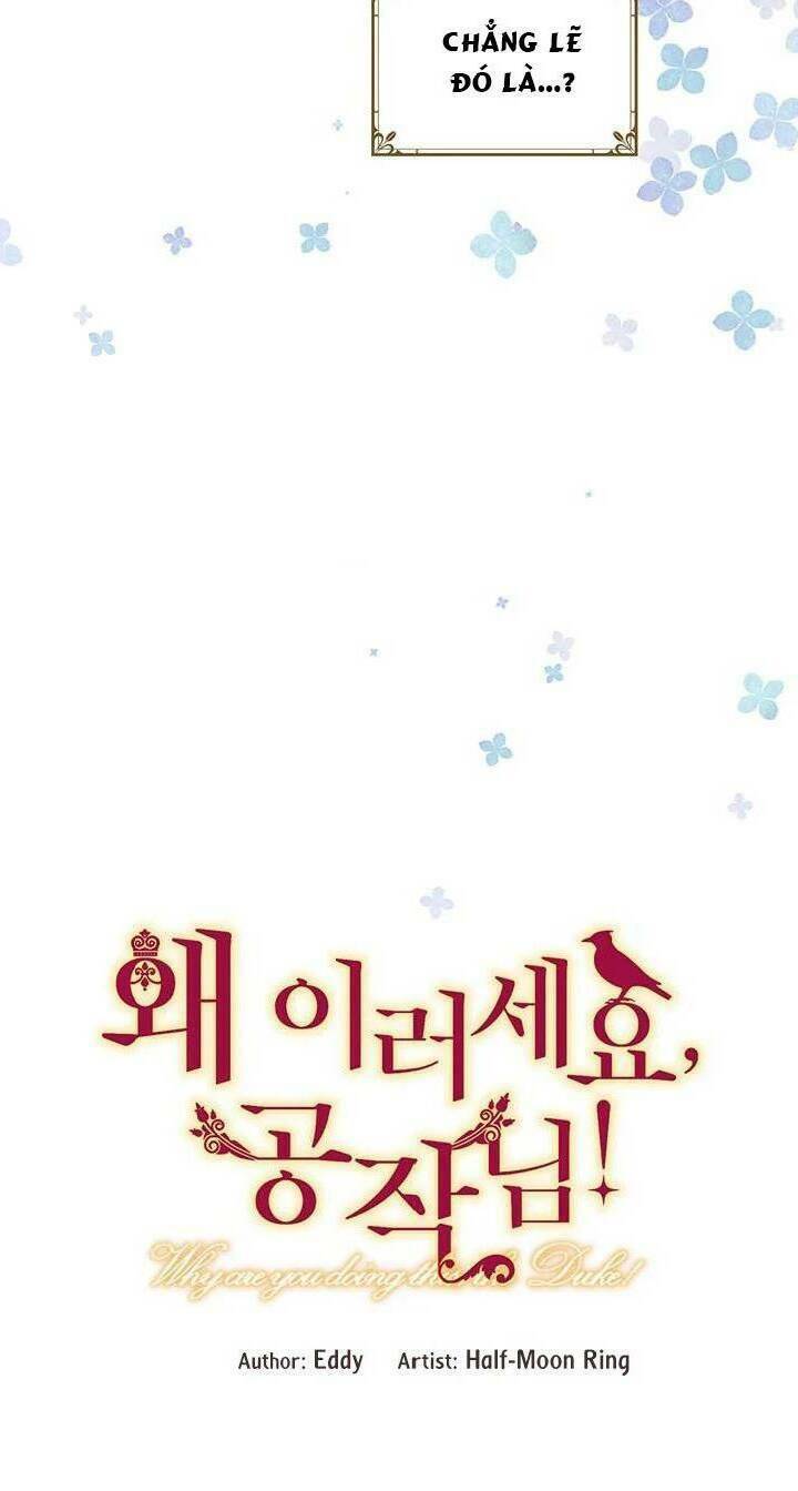 Công Tước, Loạn Vừa Thôi!: Chapter 37