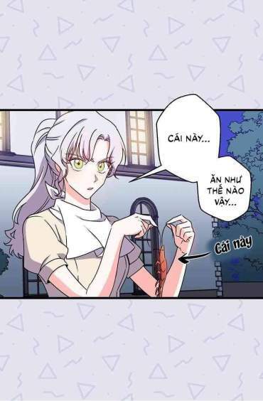 Hôn Lễ Báo Thù: Chapter 7