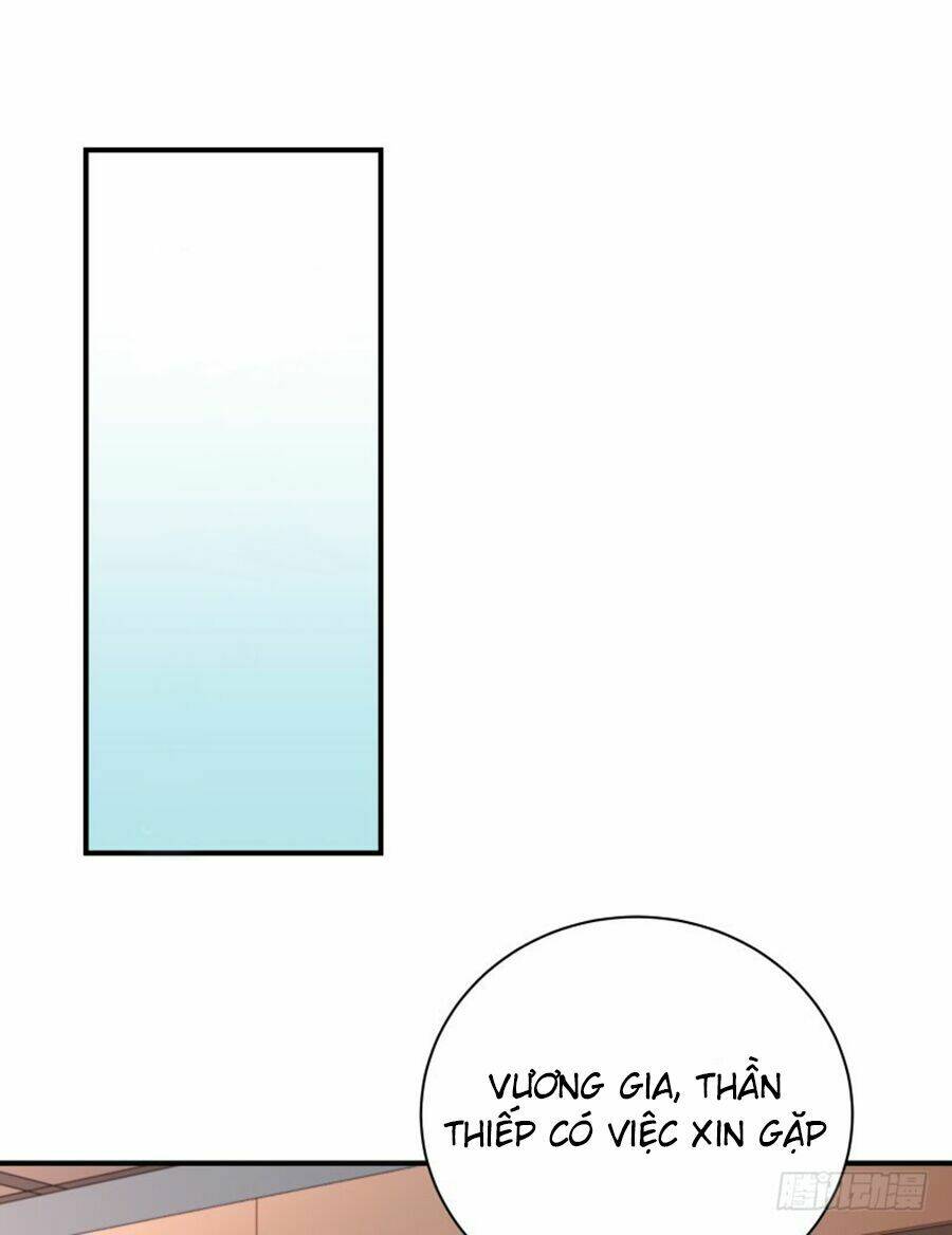 Tiểu Hoàng Thư Và Tiểu Hoàng Thúc: Chapter 11