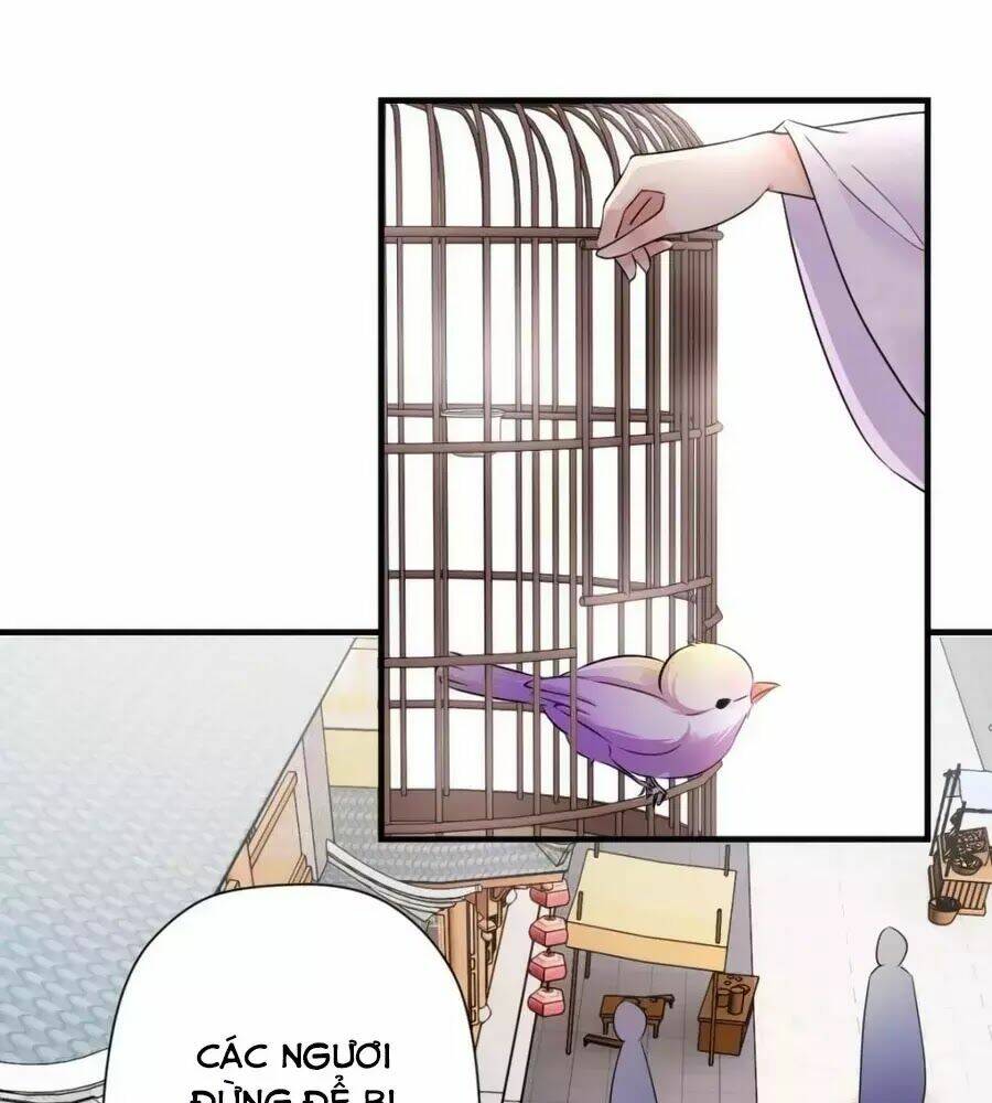 Vương Phi Có Chút Nghịch Ngợm: Chapter 38