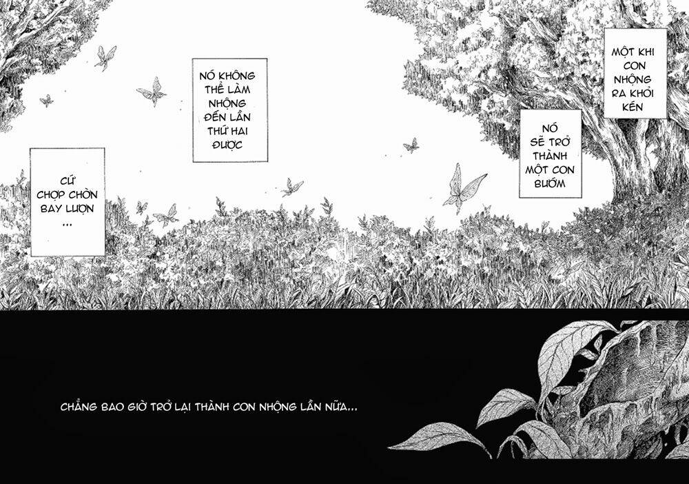 Pupa: Chapter 12