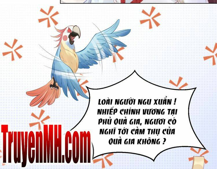 Nhất Sinh Nhất Thế Tiếu Thương Khung: Chapter 6