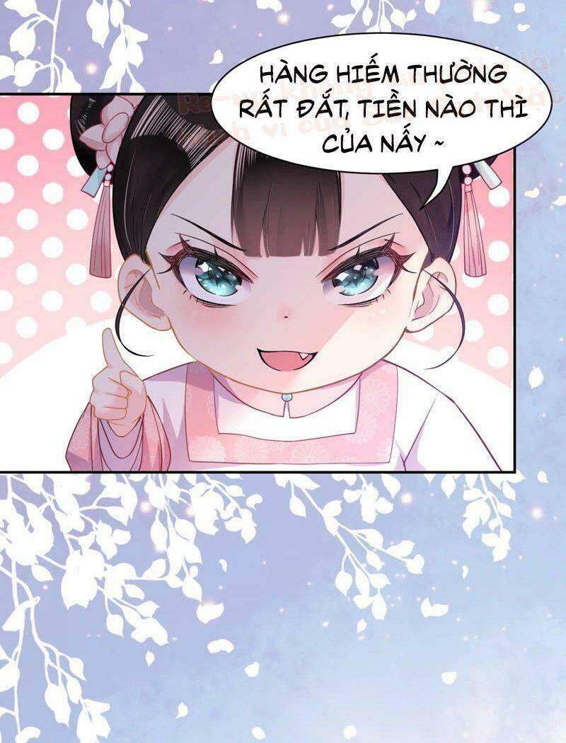 Quận Chúa Vững Vàng, Thiết Lập Nhân Vật Không Thể Vỡ: Chapter 3