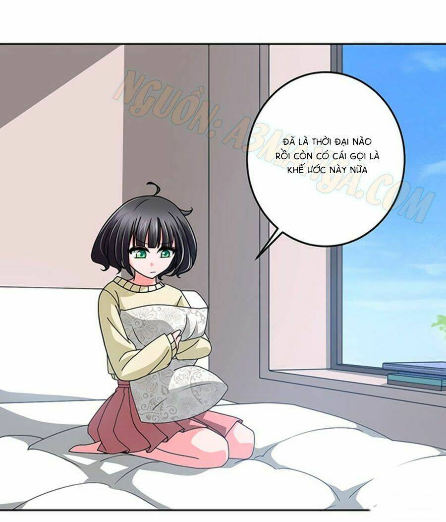 Người Yêu Khát Máu Của Tôi: Chapter 4