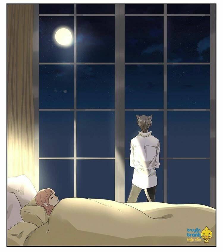 Cứu Mạng! Loài Mèo Thống Trị Thế Giới Rồi!: Chapter 15