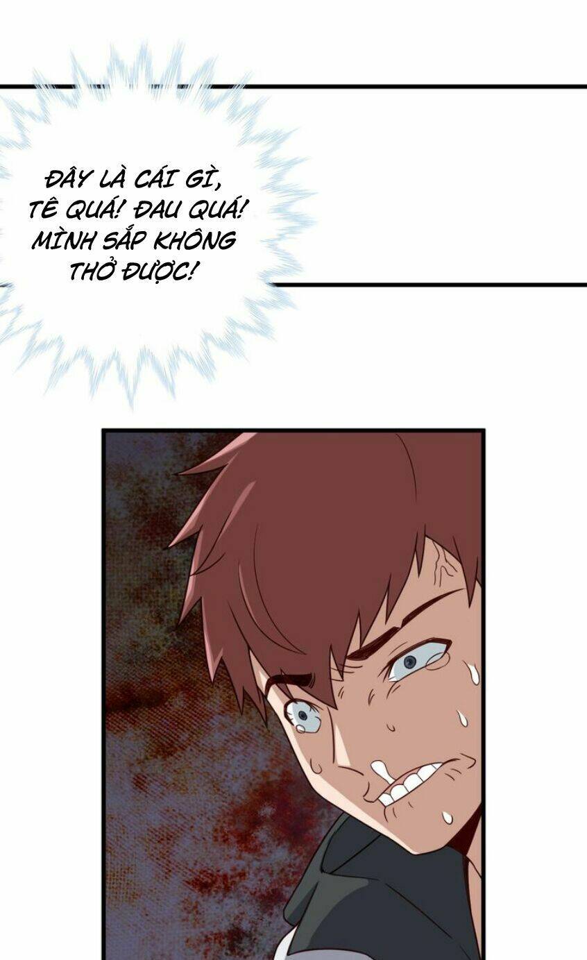 Hệ Thống Tu Tiên Mạnh Nhất: Chapter 17