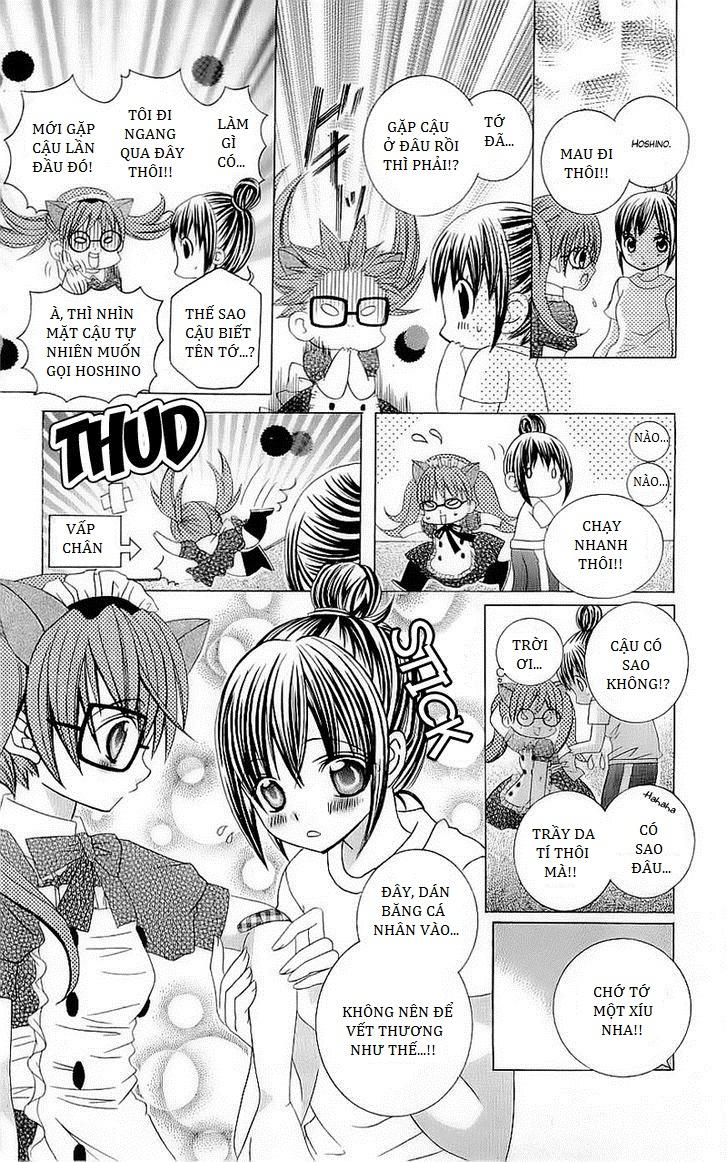 Mình Thích Cậu Đó, Suzuki: Chapter 40.5