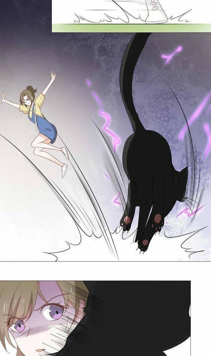 Thập Nhị Hắc Miêu: Chapter 10