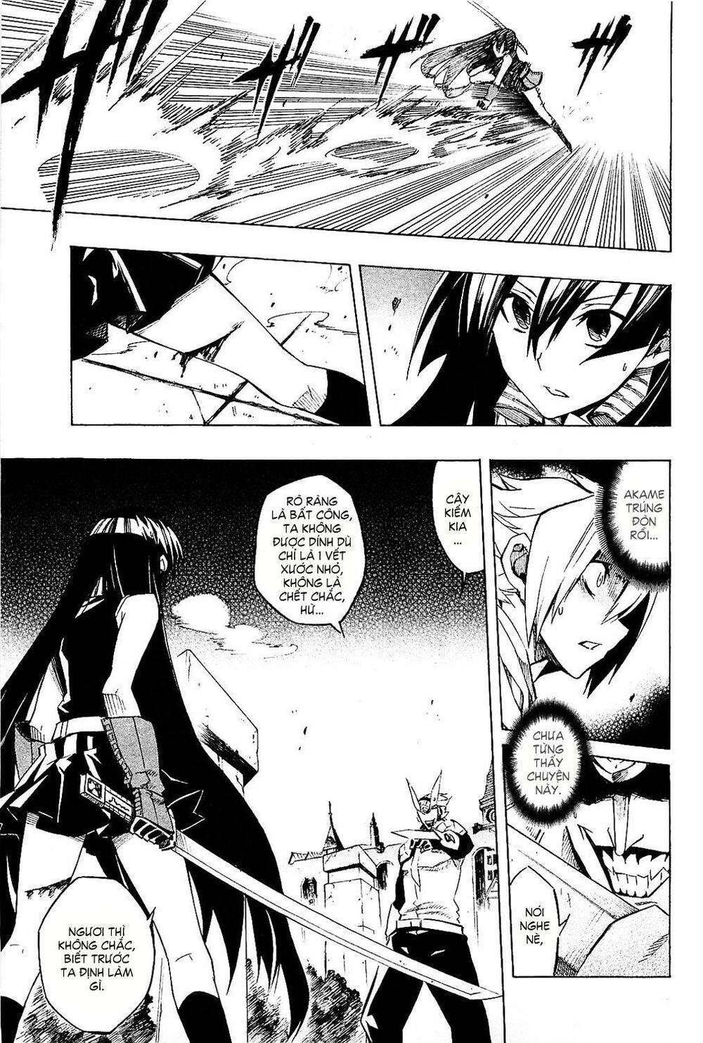 Akame Ga Kiru: Chapter 6